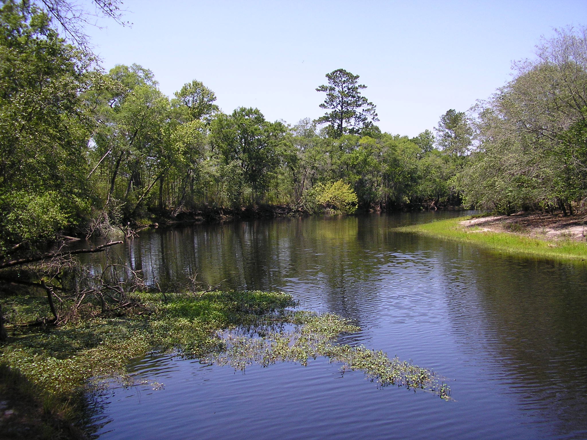 Brantley County Land Value at Jean Collins blog